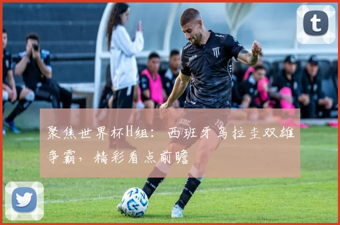 聚焦世界杯H组：西班牙乌拉圭双雄争霸，精彩看点前瞻