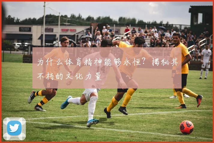 为什么体育精神能够永恒？揭秘其不朽的文化力量