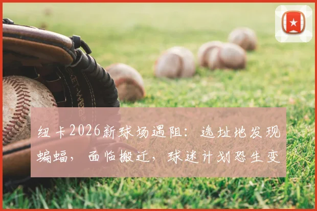 纽卡2026新球场遇阻：选址地发现蝙蝠，面临搬迁，球迷计划恐生变